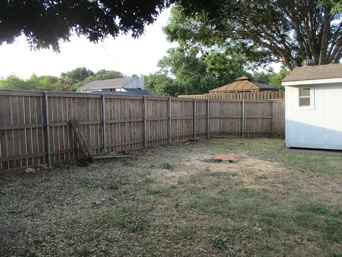 Cleared yard after professional tree removal in Flemingsburg