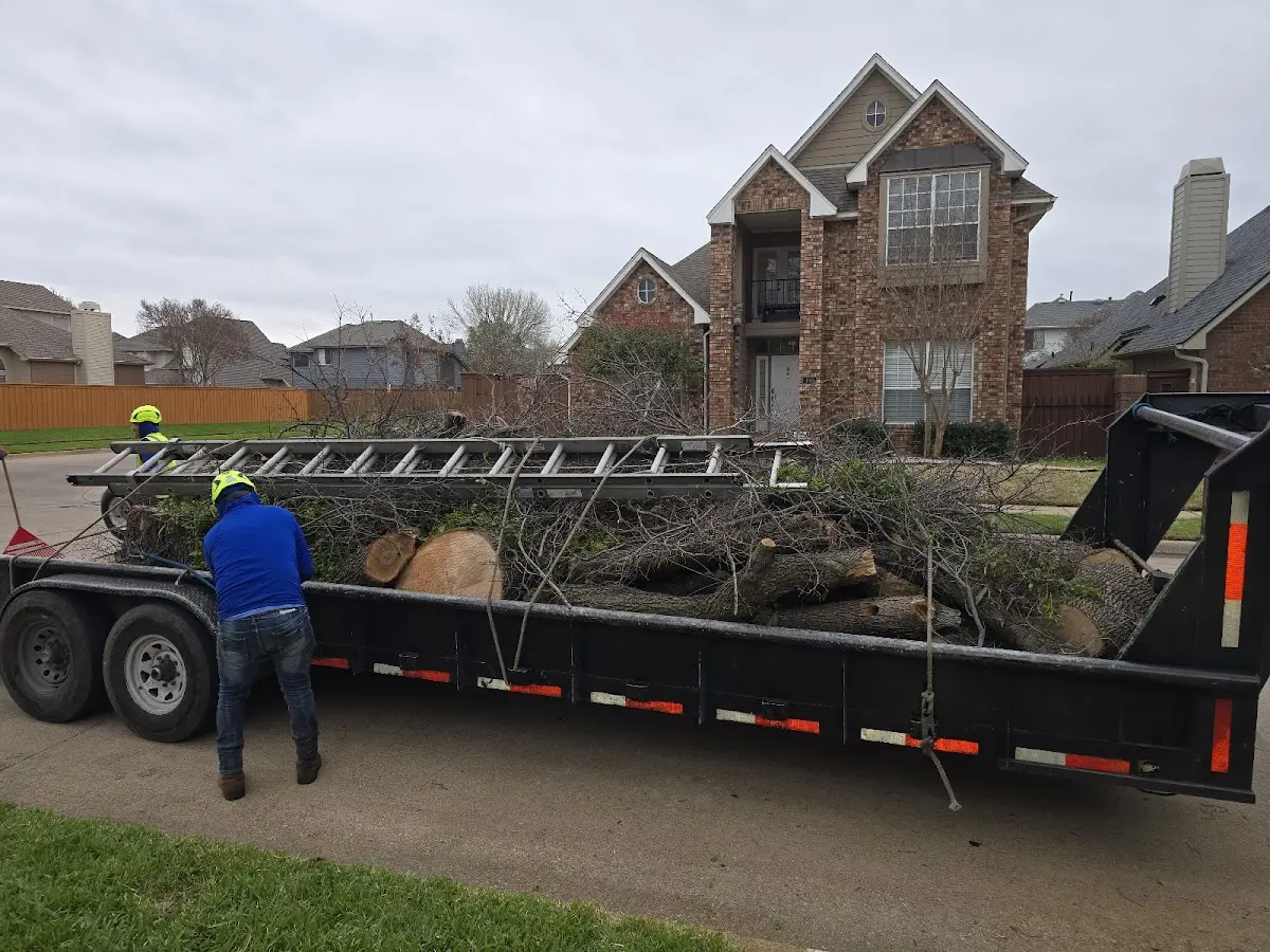 Expert Tree Removal with proper safety equipment in Flemingsburg